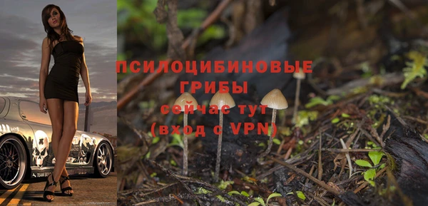 Альфа ПВП Нефтегорск