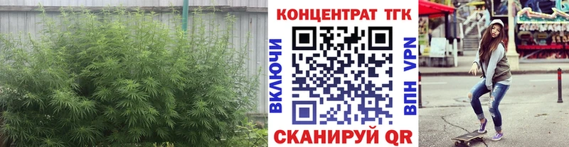Дистиллят ТГК гашишное масло Губкинский