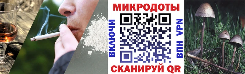 Псилоцибиновые грибы ЛСД  закладки  shop официальный сайт  Губкинский 