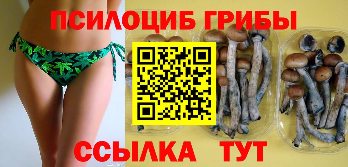 Псилоцибиновые грибы мицелий  Псилоцибиновые грибы мухоморы  Вход с VPN  Губкинский 