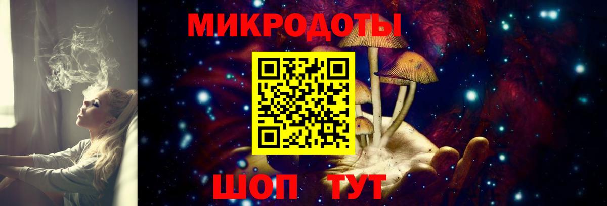 Галлюциногенные грибы Cubensis  наркотики  Губкинский 