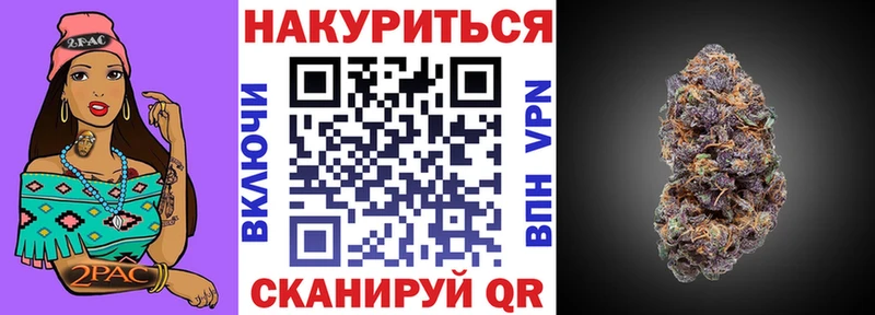 Конопля план Губкинский